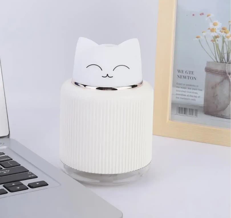 Umidificatorul de aer