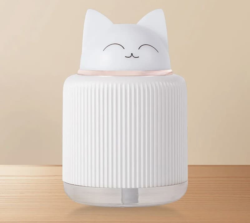 kitty