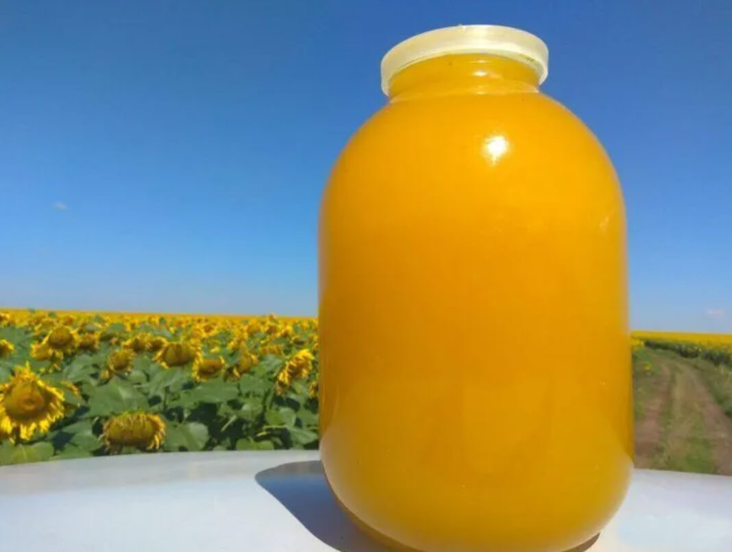 borcan de floarea soarelui